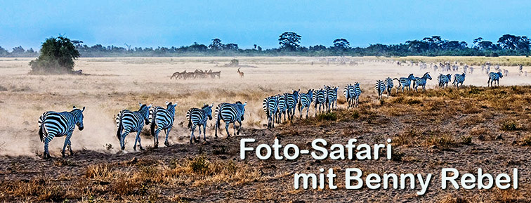 Fotoreise-Fotosafari-Fotoworkshop-Kenia-Afrika