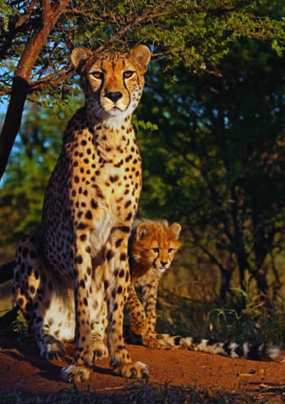 Benny-Rebel-Fotoreise_Fotoworkshop-Afrika-B6